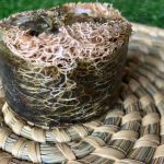 Organic Hibiscus & Loofah Bathing Bar | Exfoliating & Glowing Skin