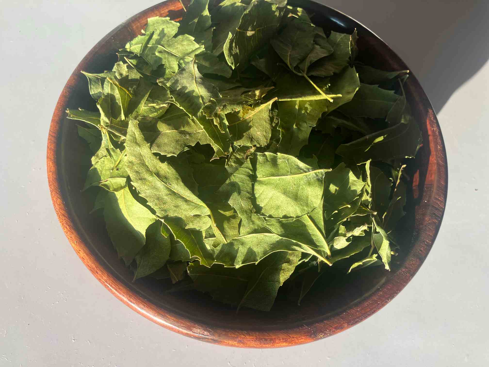 Dried Neem Leaves Dried Neem Leaves