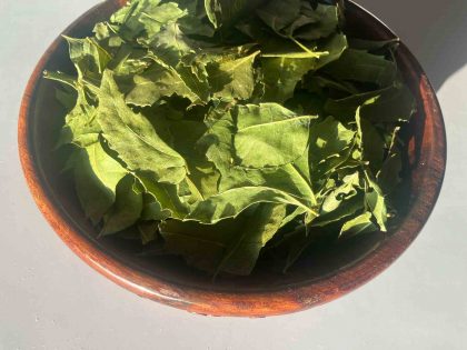 Dried Neem Leaves