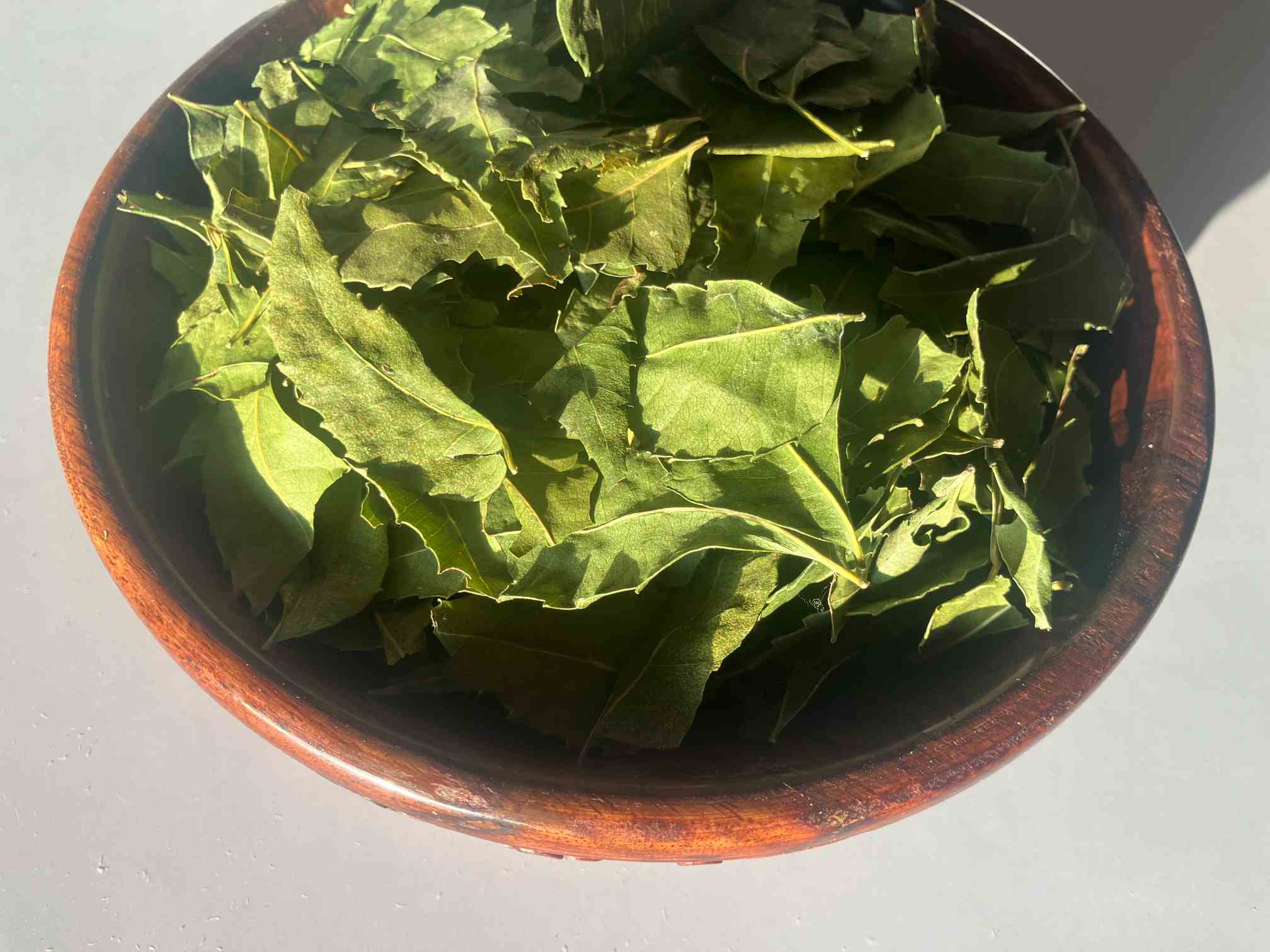 Dried Neem Leaves Dried Neem Leaves