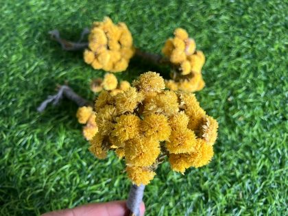 Dried Yellow Flowers Bunch for Gift Boxes