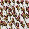 Dried Flower Bunches For Gift Boxes