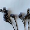 Dried Blue Static Flowers with Stem